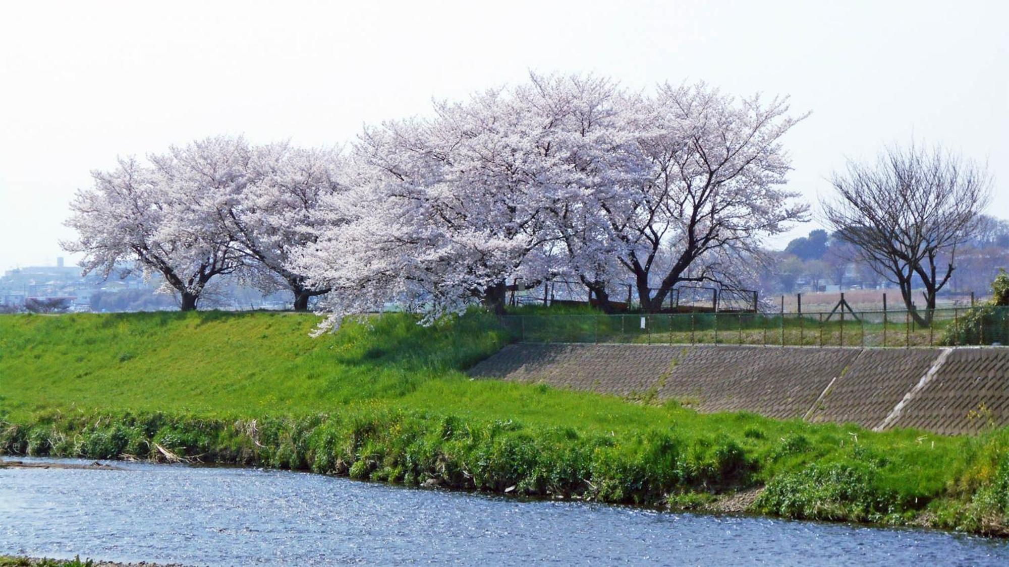 Toyoko Inn Shiki Eki Higashi Guchi Exterior foto